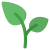 plant.png
